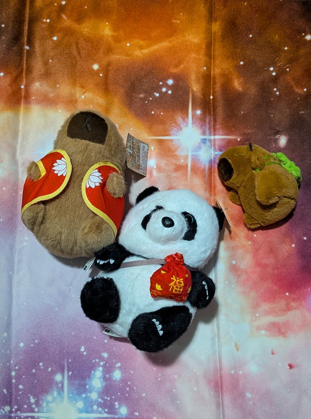 🐼 Capybara And Panda Plush Bundle